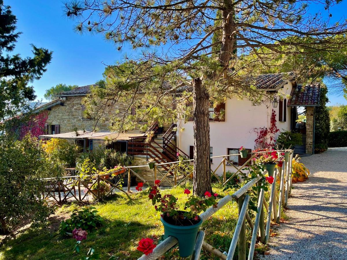 La Panoramica Gubbio - Maison De Charme - Casette E Appartamenti Self Catering Per Vacanze Meravigliose! Buitenkant foto