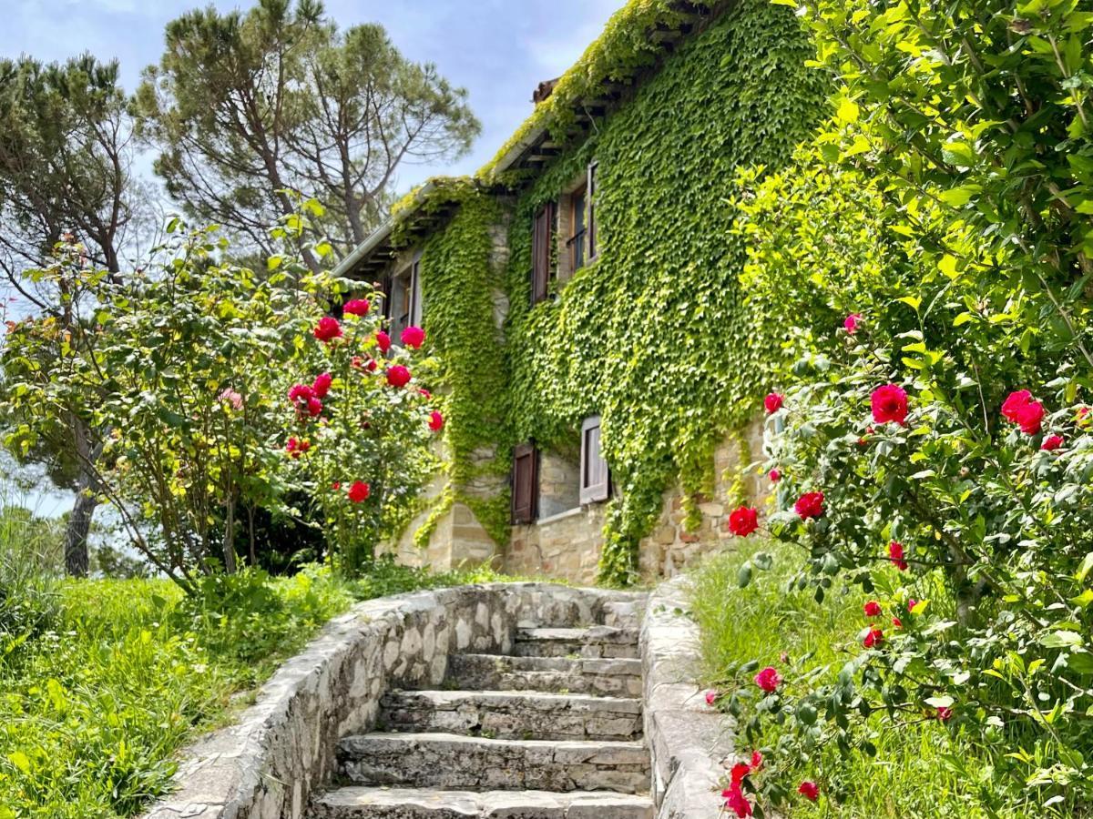 La Panoramica Gubbio - Maison De Charme - Casette E Appartamenti Self Catering Per Vacanze Meravigliose! Buitenkant foto