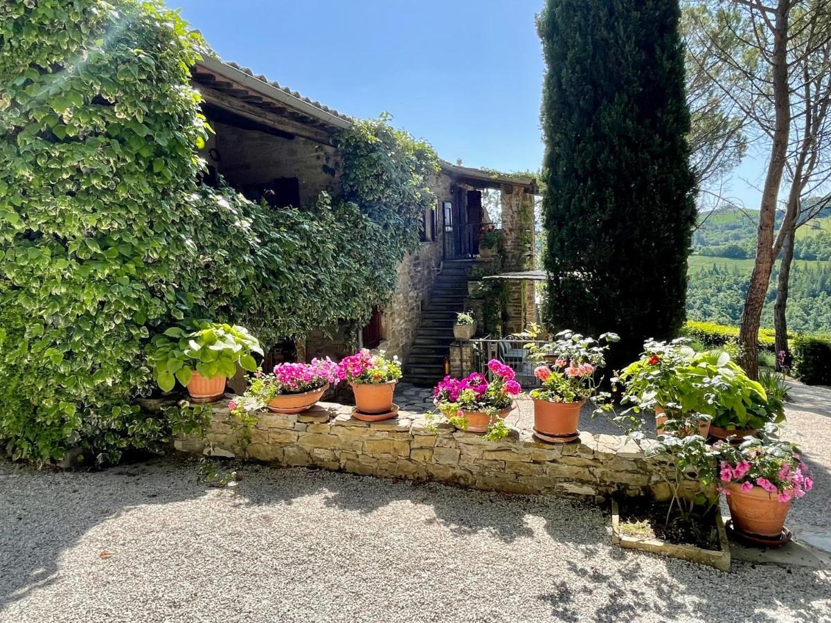 La Panoramica Gubbio - Maison De Charme - Casette E Appartamenti Self Catering Per Vacanze Meravigliose! Buitenkant foto