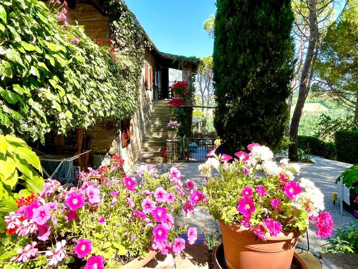 La Panoramica Gubbio - Maison De Charme - Casette E Appartamenti Self Catering Per Vacanze Meravigliose! Buitenkant foto
